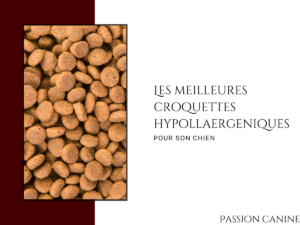 Les meilleures croquettes hypoallergéniques pour chien