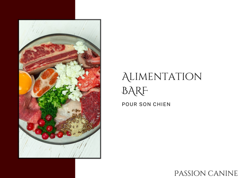 Alimentation BARF pour chien