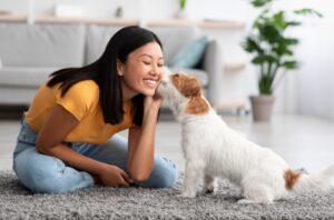 Fluffy,Dog,Jack,Russel,Terrier,Kissing,Its,Owner,Young,Asian